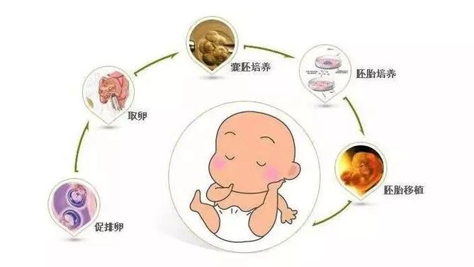供卵代怀宝宝为什么那么可爱