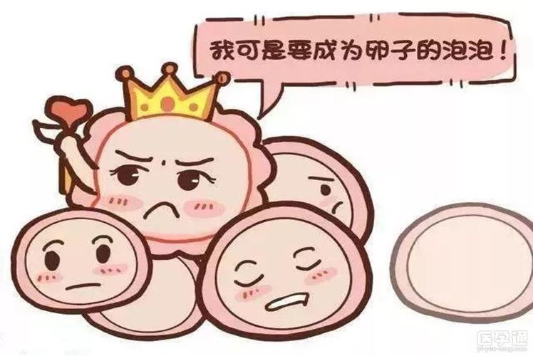 供卵试管婴儿宝宝屁股红是什么原因