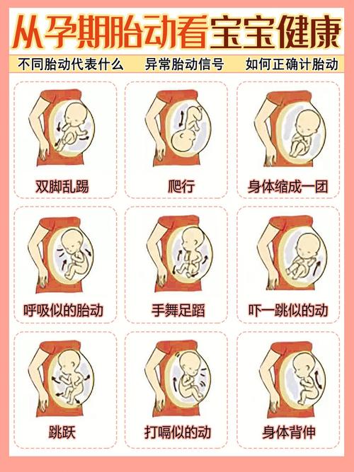 代怀的宝宝好动是什么原因